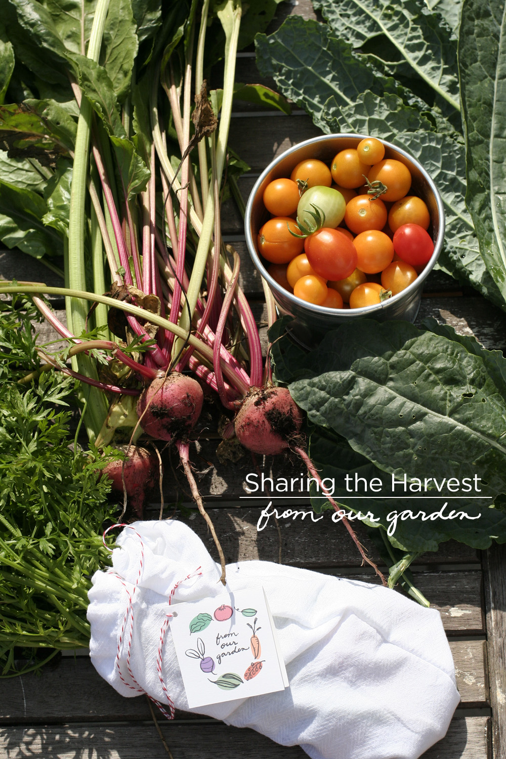 sharing your summer harvest